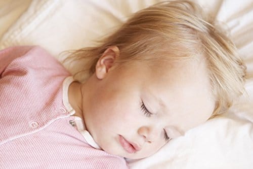 Angel Dreams Organic Cotton Toddler Pillow - 13x18 - Image 4