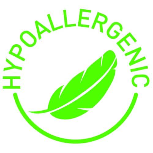 Angel Dreams Organic Cotton Toddler Pillow - 13x18 - Image 8