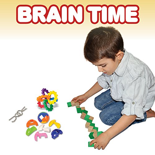 brain educational toys