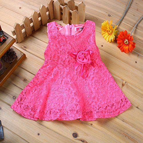 Rorychen Cute Baby Girls Sleeveless Lace Pleated Dress with Flower Party(0-24M) - Image 3