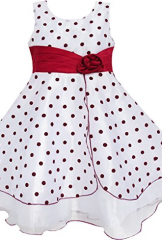 Sunny Fashion Girls Dress Wine Red Dot Tulle Party Pageant Unique Design