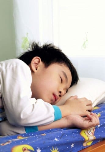 TODDLER PILLOW (13x18) in White & Prints - No Pillowcase Needed - Hypoallergenic - Machine Washable - Double Stitched - Made in Virginia - Sold ONLY by A Little Pillow Company (White) - Image 6